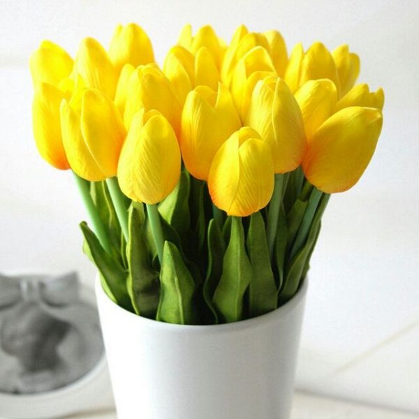 Hoa tulip nở trong bao lâu thì tàn?