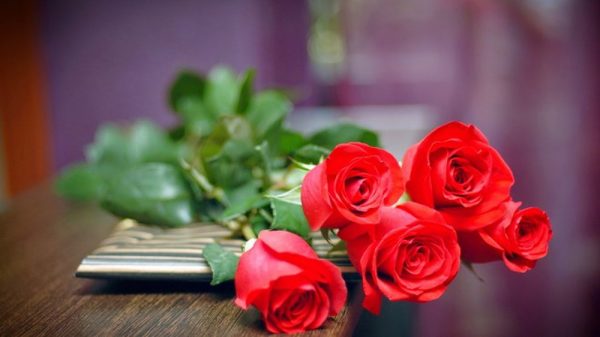 Ý nghĩa của 99 bông hồng trong tình yêu là gì?
