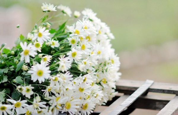 Sinh nhật mẹ nên tặng hoa gì gửi gắm yêu thương?
